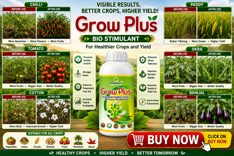 Grow Plus Bio Stimulant | Plant Growth Promoter for Healthier Crops & Higher Yield