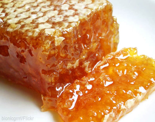 Onboarding best practices for Extracting Honey