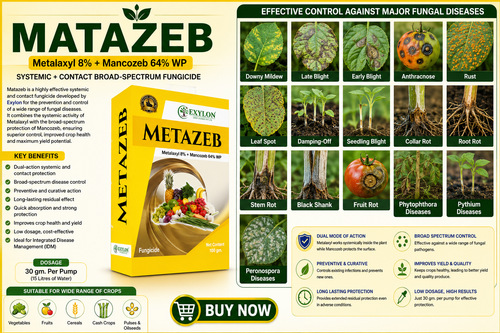 EXYLON METAZEB/HIGHLY EFFECTIVE SYSTEMIC AND CONTACT FUNGICIDE