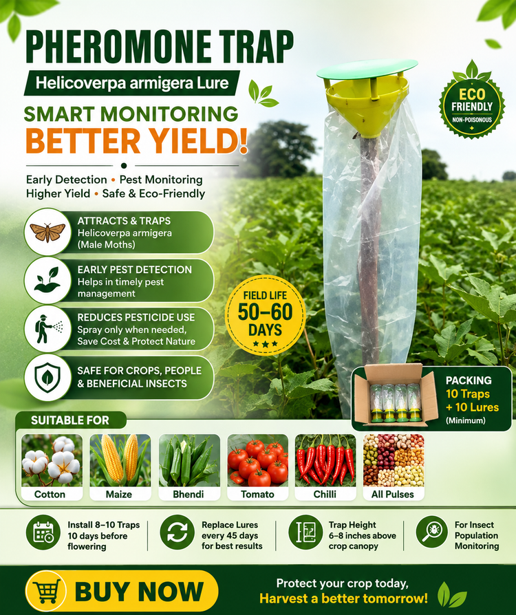 PHEROMONE TRAPS (HELICOVERPA LURES )