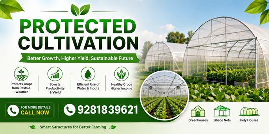 Protected structure: the future of what farming under a strong structure