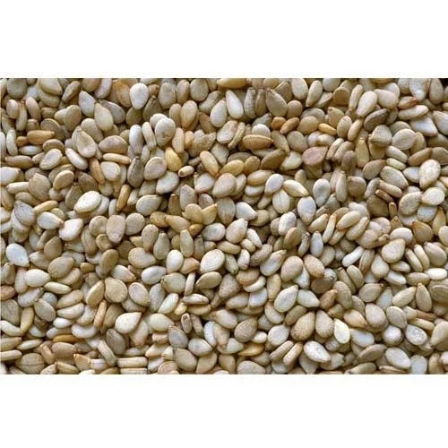 Sesamum Seeds