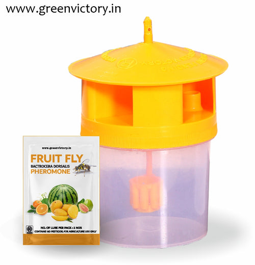 FRUIT FLY PHEROMONE & TRAP- SMALL