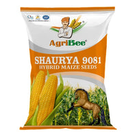AgriBee Hybrid Maize Seeds Shaurya 9081 - 4Kg