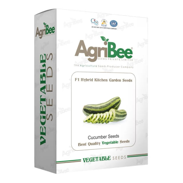 AgriBee F1 Hybrid Cucumber Seeds 5gm x 5 pack) = 1 Box