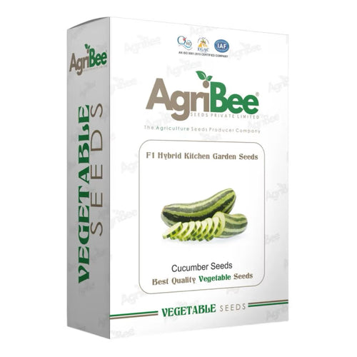 AgriBee F1 Hybrid Cucumber Seeds 5gm x 5 pack) = 1 Box