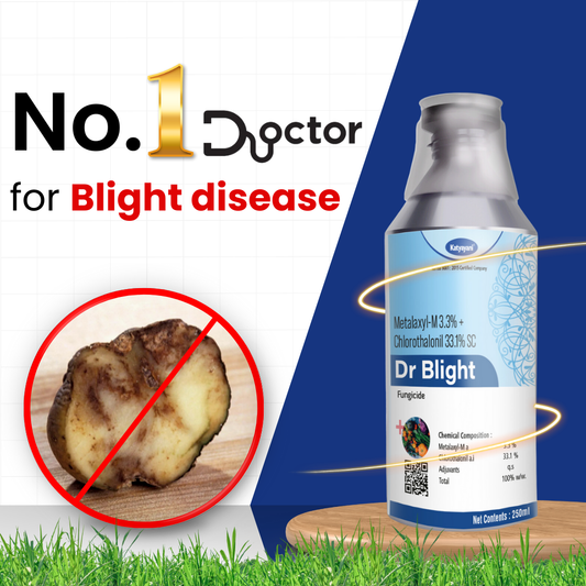 Katyayani Dr Blight | Metalaxyl-M 3.3% + Chlorothalonil 33.1% SC | Chemical Fungicide
