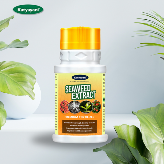 Katyayani Seaweed Extract| Fertilizer