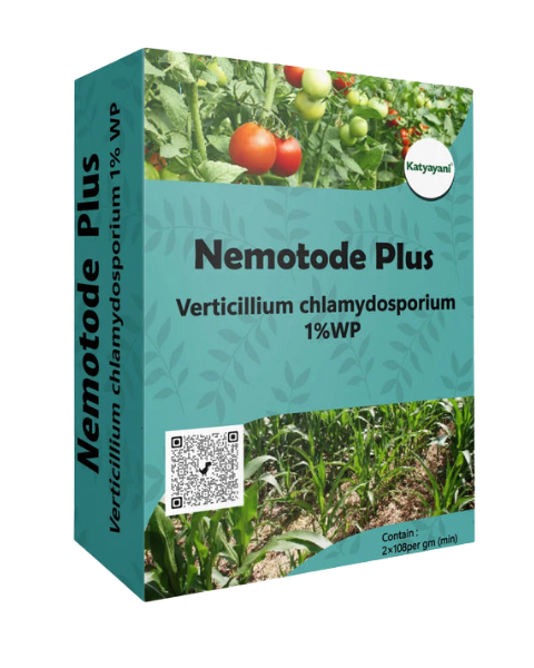 KATYAYANI NEMATODE PLUS | VERTICILLIUM CHLAMYDOSPORIUM 1% WP