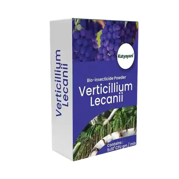 Katyayani Verticillium Lecanii | Powder Bio Insecticide