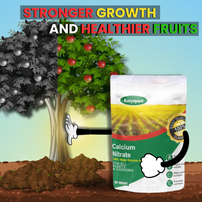 Katyayani Calcium Nitrate | Fertilizer