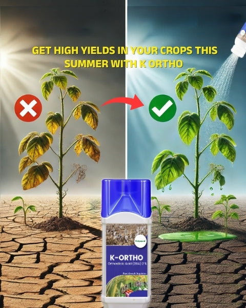 Katyayani K-Ortho Orthosilicic Acid (OSA) 2 % | Plant Growth Regulator