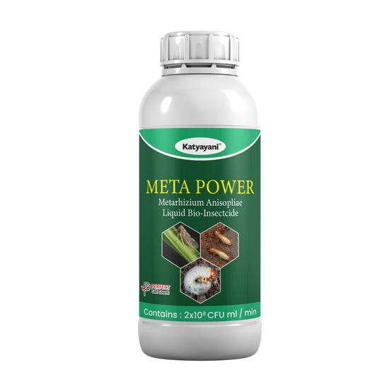Katyayani Meta Power | Metarhizium Anisopliae | Liquid Bio Insecticide