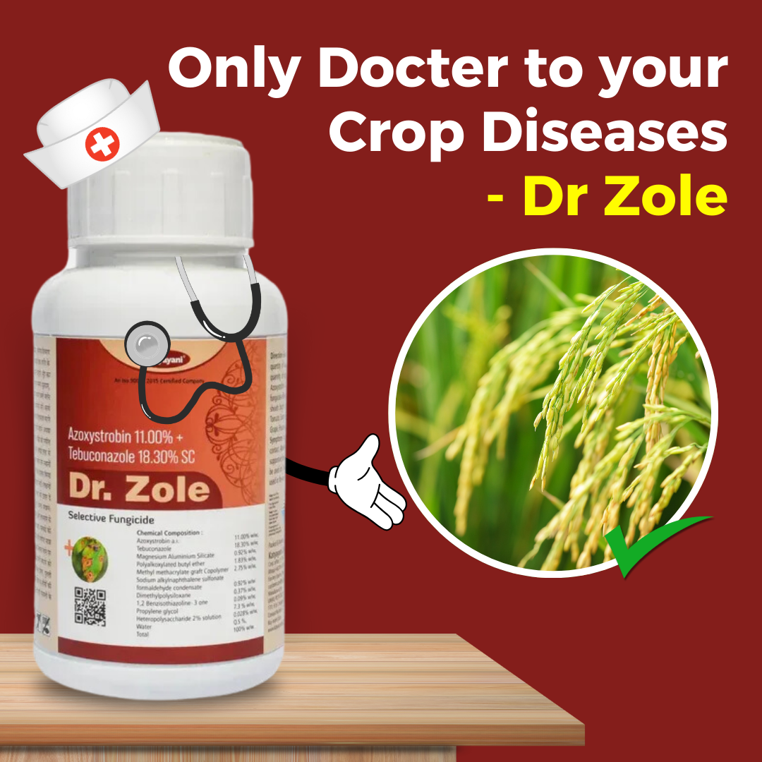 Katyayani Dr. Zole | Azoxystrobin 11% + Tebuconazole 18.3% SC | Chemical Fungicide