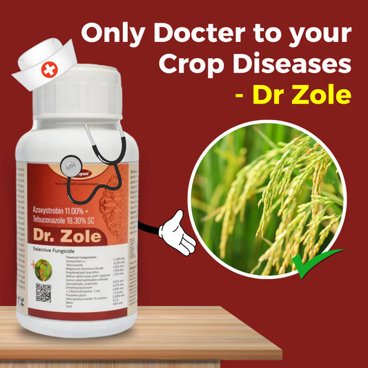 Katyayani Dr. Zole | Azoxystrobin 11% + Tebuconazole 18.3% SC | Chemical Fungicide