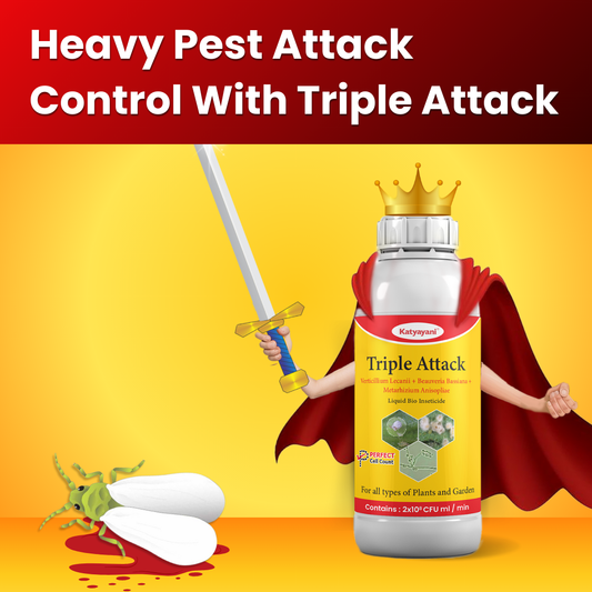 KATYAYANI TRIPLE ATTACK | VERTICILLIUM LECANII + BEAUVERIA BASSIANA + METARHIZIUM ANISOPLIAE | BIO PESTICIDE Liquid