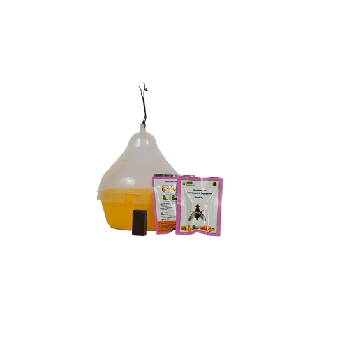 Macphil Trap With Dorsalis Lure