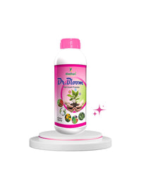 Dr. Bloom