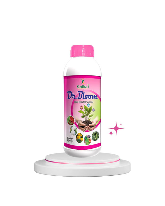 Dr. Bloom