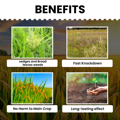 Katyayani Garuda | Bispyribac Sodium 10 % SC | Broad Spectrum Systemic Herbicide For Rice Crop