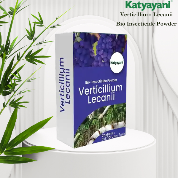 Katyayani Verticillium Lecanii | Powder Bio Insecticide