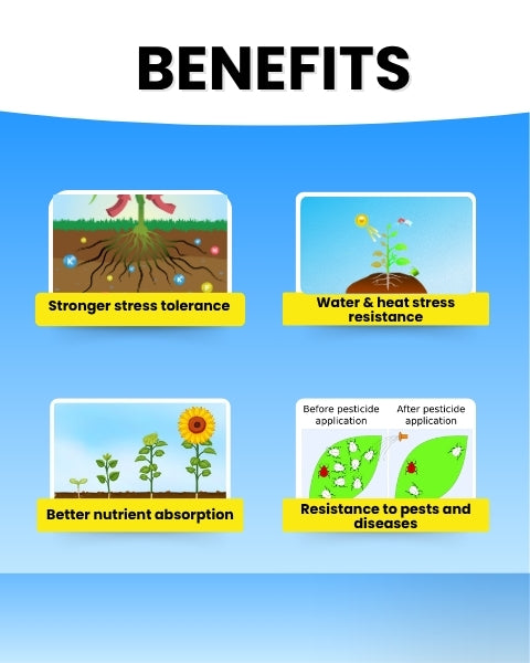 Katyayani K-Ortho Orthosilicic Acid (OSA) 2 % | Plant Growth Regulator