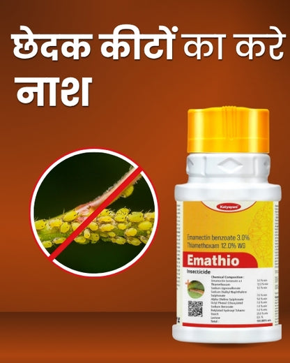 KATYAYANI EMATHIO | EMAMECTIN BENZOATE 3% + THIAMETHOXAM 12% WG | CHEMICAL INSECTICIDE