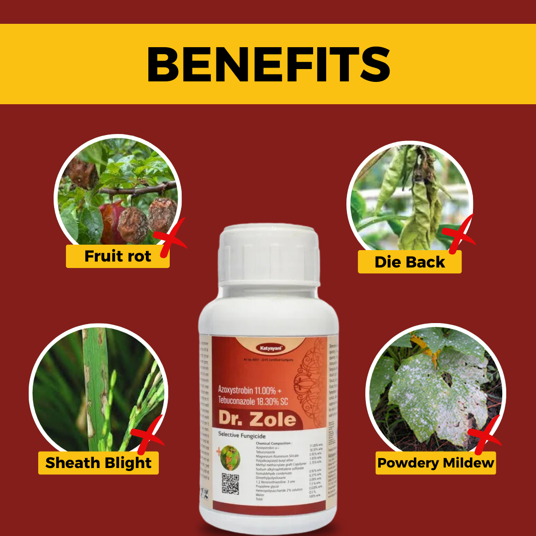 Katyayani Dr. Zole | Azoxystrobin 11% + Tebuconazole 18.3% SC | Chemical Fungicide