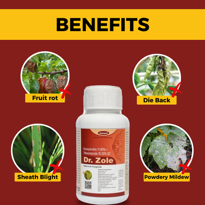 Katyayani Dr. Zole | Azoxystrobin 11% + Tebuconazole 18.3% SC | Chemical Fungicide