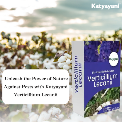 Katyayani Verticillium Lecanii | Powder Bio Insecticide