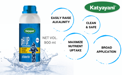 Katyayani pH UP