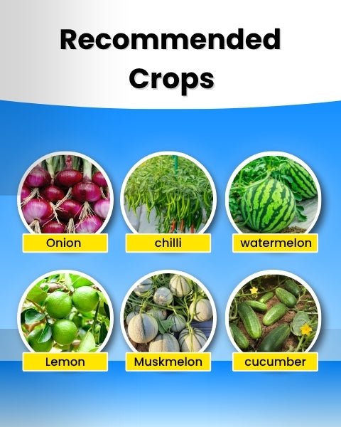 Katyayani K-Ortho Orthosilicic Acid (OSA) 2 % | Plant Growth Regulator