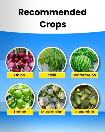 Katyayani K-Ortho Orthosilicic Acid (OSA) 2 % | Plant Growth Regulator