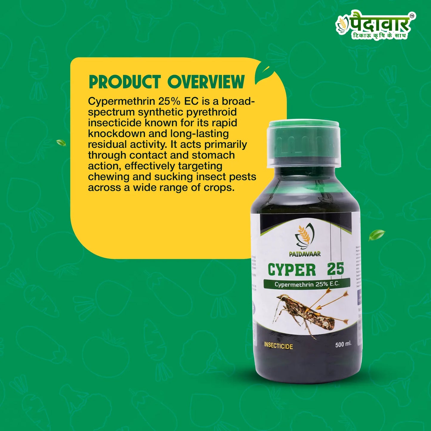 Paidavaar Cyper 25 – image 3