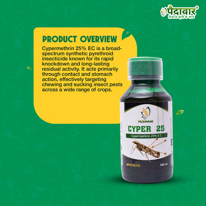 Paidavaar Cyper 25 – image 3