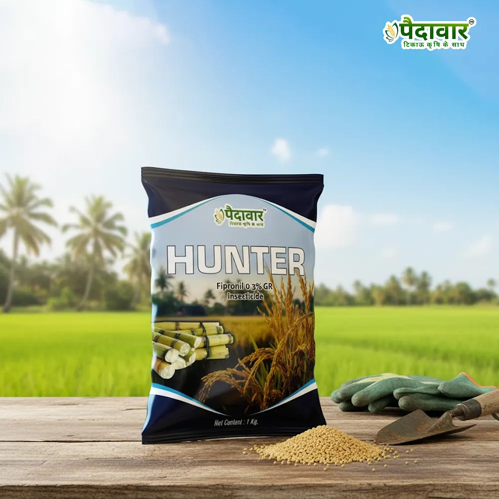 Paidavaar Hunter – image 3