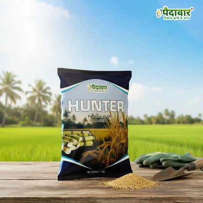 Paidavaar Hunter – image 3
