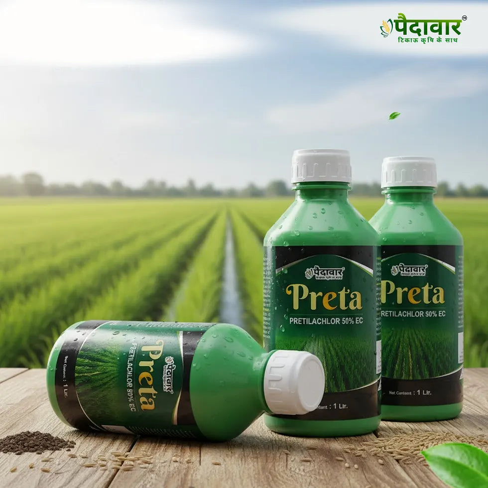 Paidavaar Preta – image 3