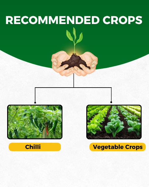 Katyayani Sarvashakti Organic pesticide