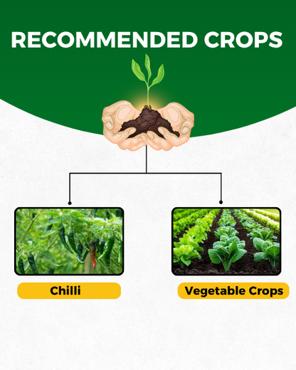 Katyayani Sarvashakti Organic pesticide