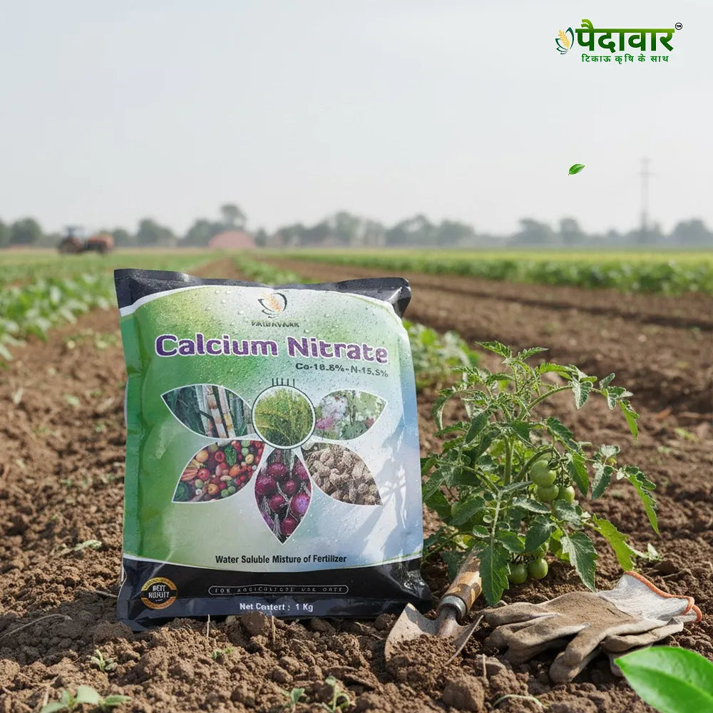 Paidavaar Calcium Nitrate – image 3