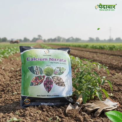 Paidavaar Calcium Nitrate – image 3