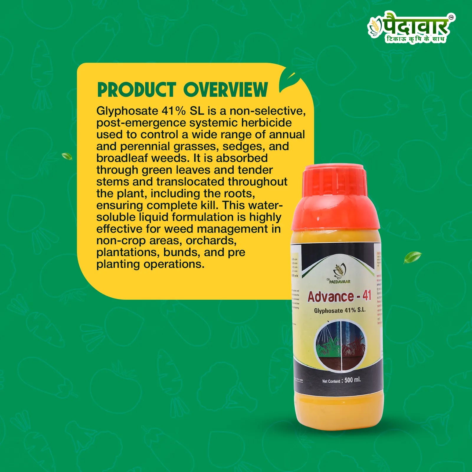 Paidavaar Advance - 41 – image 3
