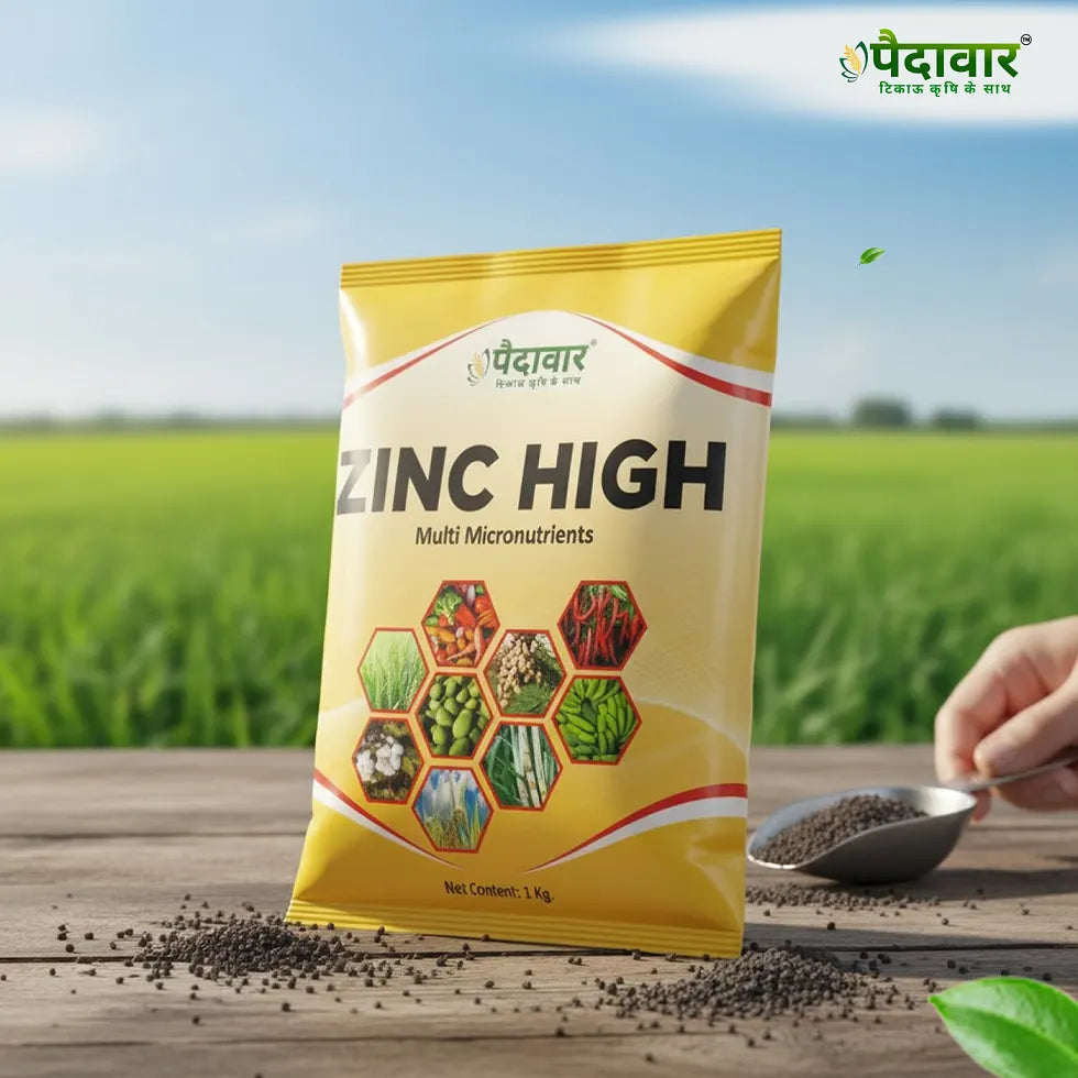Paidavaar Zinc High – image 3