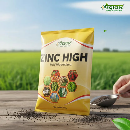 Paidavaar Zinc High – image 3
