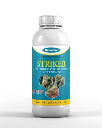Katyayani Striker | Pseudomonas Fluorescens | Liquid Bio Fungicide | Katyayani