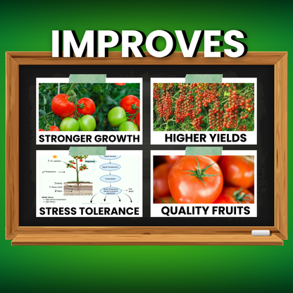 Katyayani Calcium Nitrate | Fertilizer