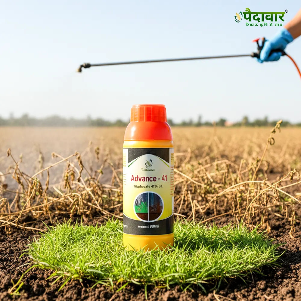 Paidavaar Advance - 41 – image 4