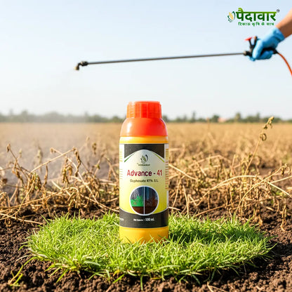 Paidavaar Advance - 41 – image 4
