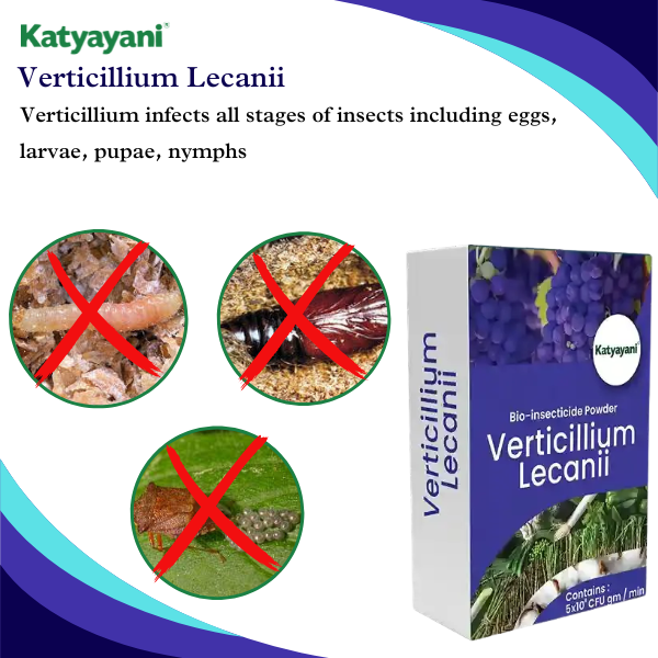 Katyayani Verticillium Lecanii | Powder Bio Insecticide